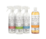 Cleaning Essentials Kit